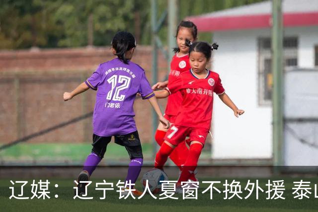 辽媒：辽宁铁人夏窗不换外援 泰山队内援战斗力在中超首屈一指